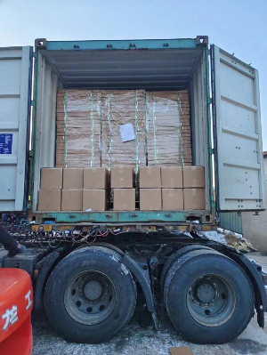 Viotech Sourcing team conducting loading inspection