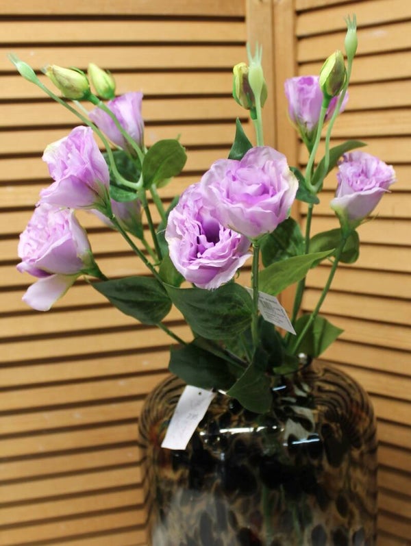 Lisianthus lila