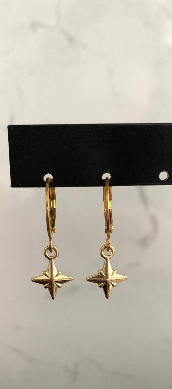 The shining star earrings
