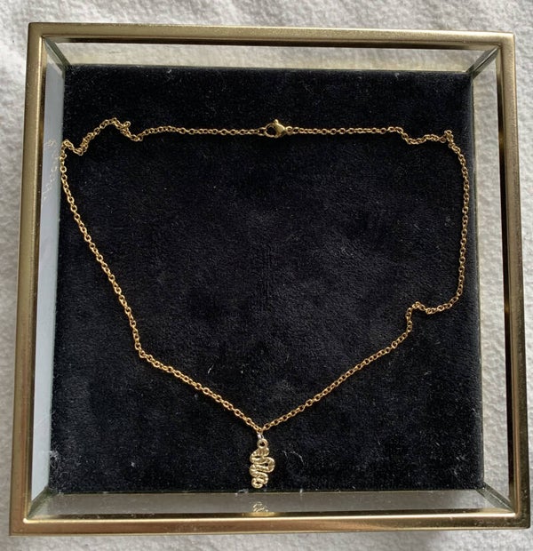 The snake ketting