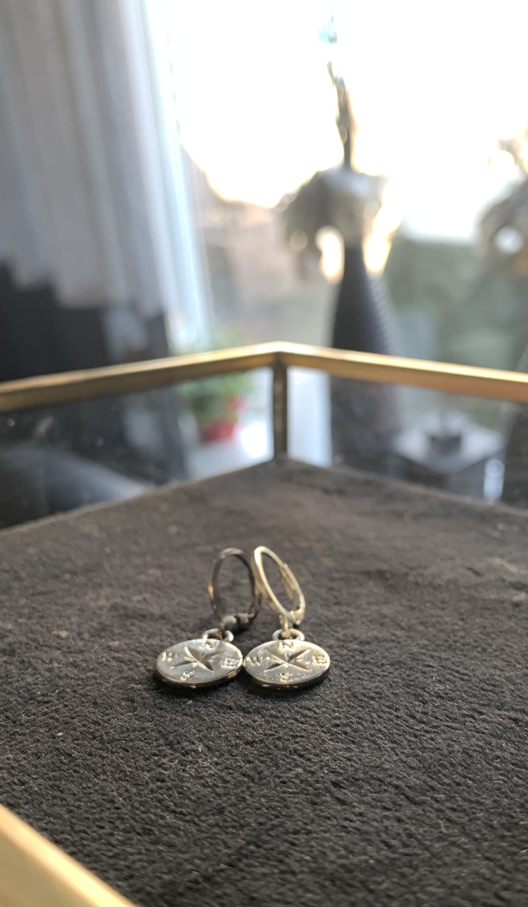 The compass earring