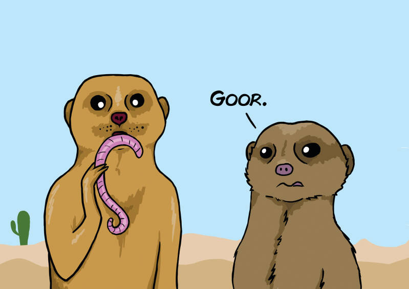 Zoo promotion