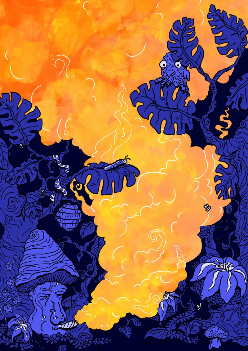 Wildlife illustration