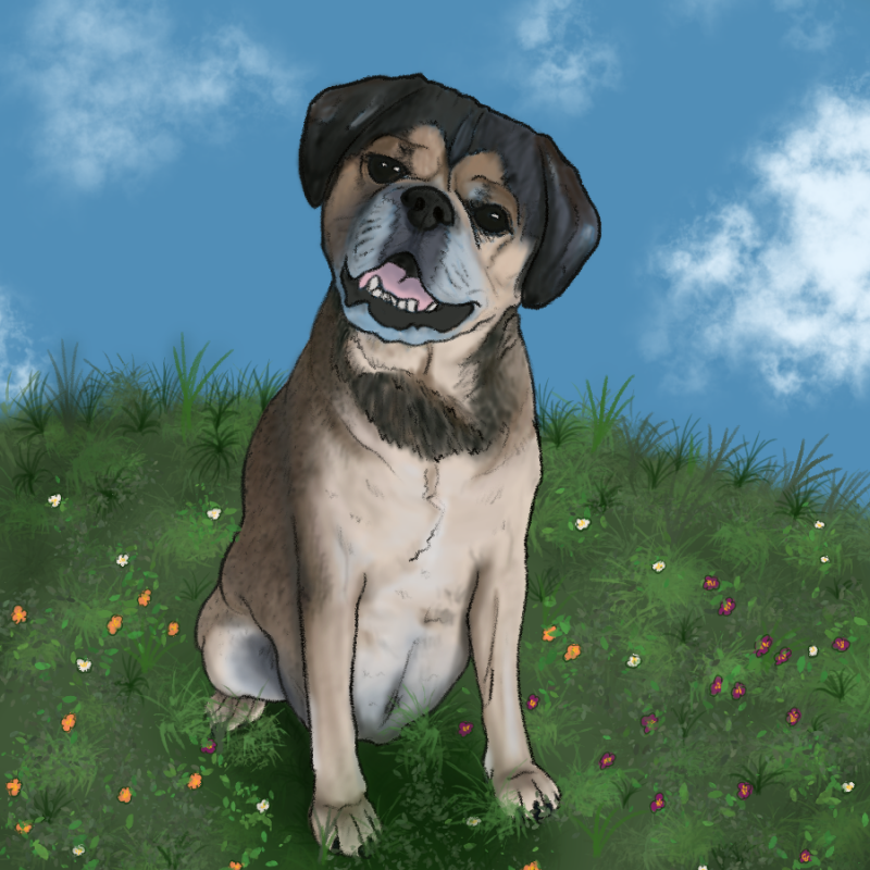 commission_woody-standard-khd57c.png