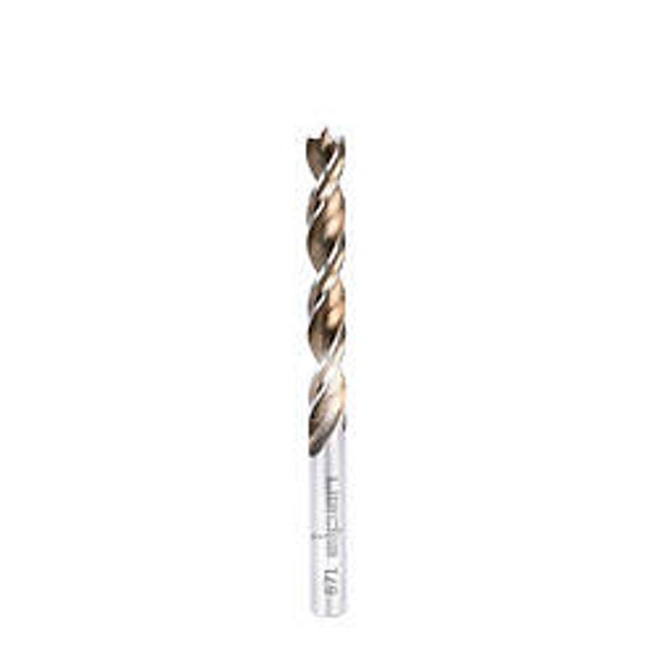Broca Alpen Madera Larga Timber Twist Ø 3,0 x 250 mm.