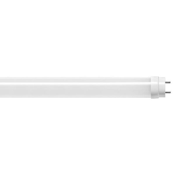 TUBO LED T8 CRISTAL 60CM 9W FRÍA