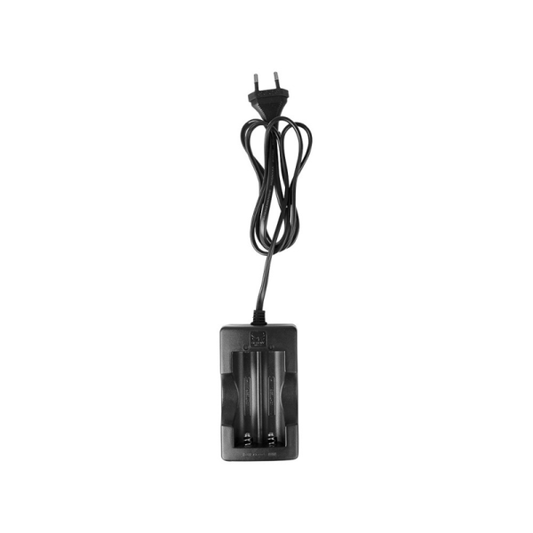 Procean Oplader dubbel 18650