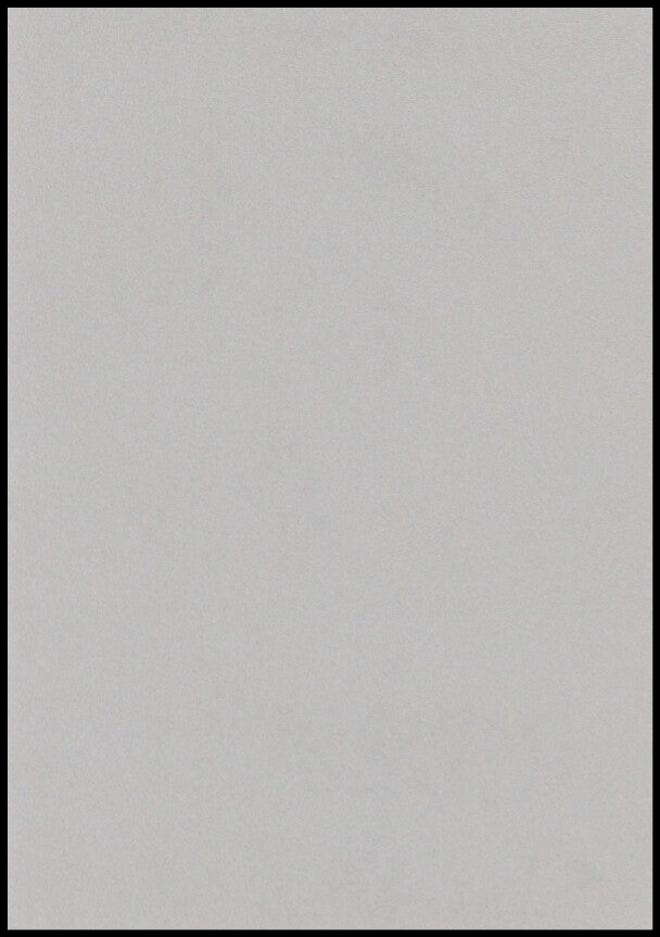 In al vreugd en rouwen: 50 jaar parochie O.-L.-Vrouw ten-Hemel-Opgenomen Briel Baasrode-Buggenhout 1949-1999