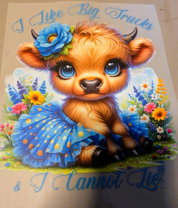 I Like Big Trucks I Cannot Lie