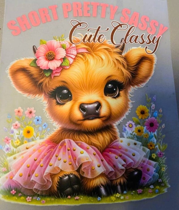 Short Pretty Sassy Cute Classy