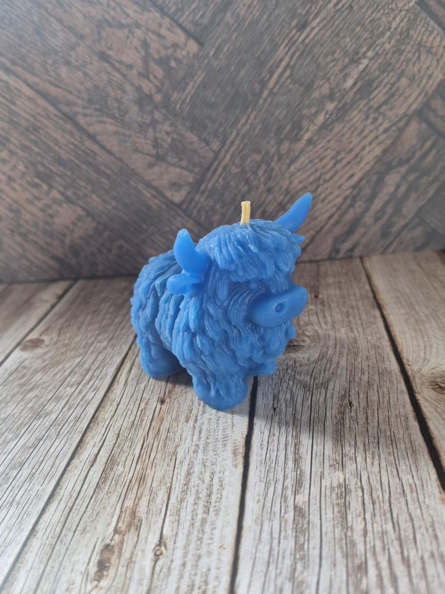 Custom Highland Bull