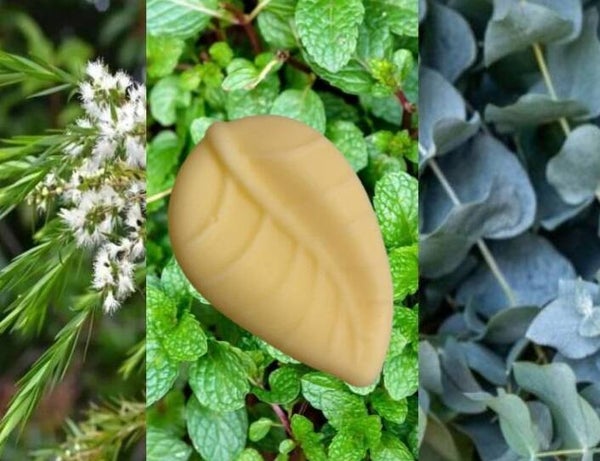 Tallow lotion bar - Leaf