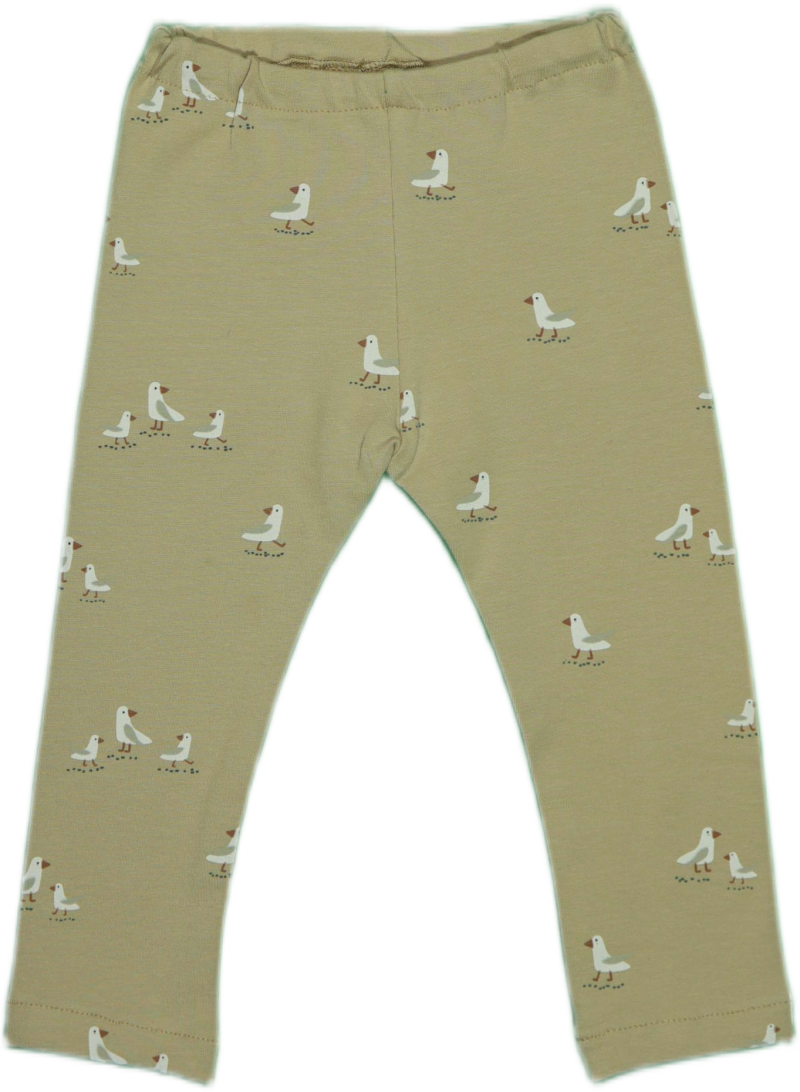 Babylegging: Meeuwen op het strand