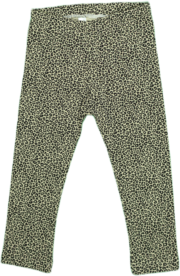Babylegging: Leopard