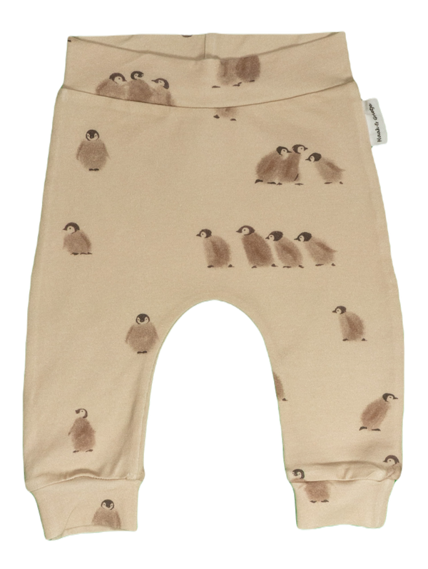 Babybroekje, harembroekje: Op de Zuidpool