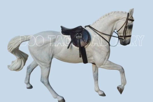 Hunt Seat Equitation Set