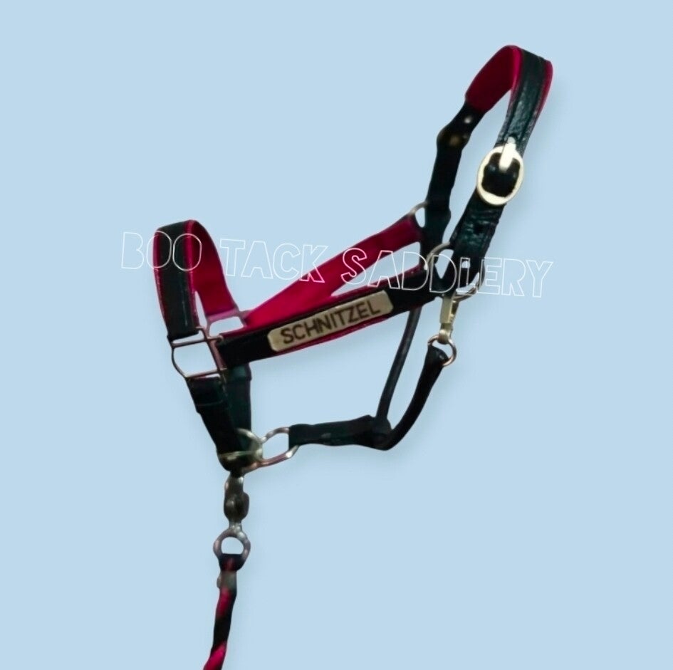 Personalised Two Tone Padded Halter - Deluxe