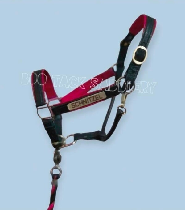 Personalised Two Tone Padded Halter - Standard