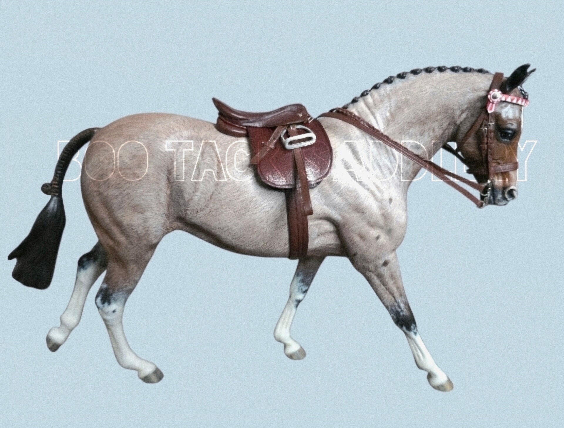 Ridden Show Set - Deluxe