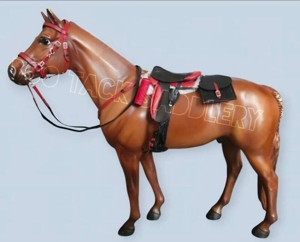 Endurance Set - Standard