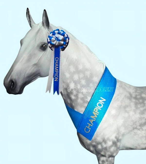 Champion Sash and Rosette