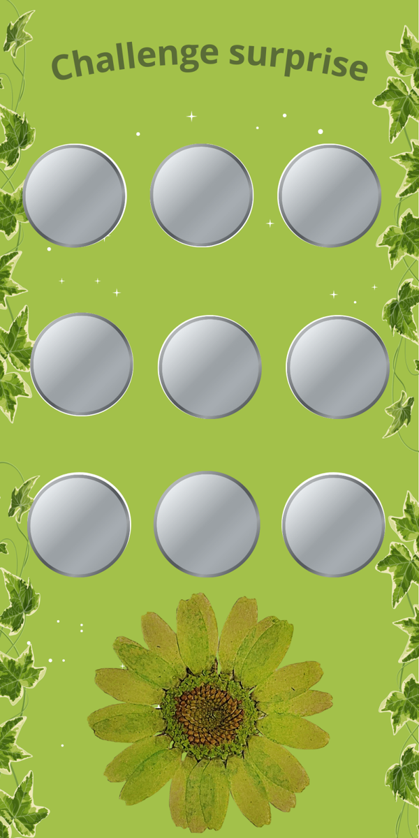Challenge surprise vert