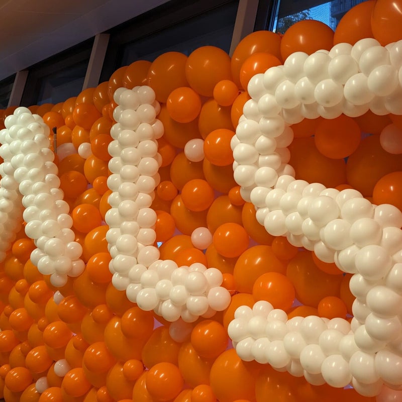 ballondecoratieballonkunstenaarfrans15.jpg