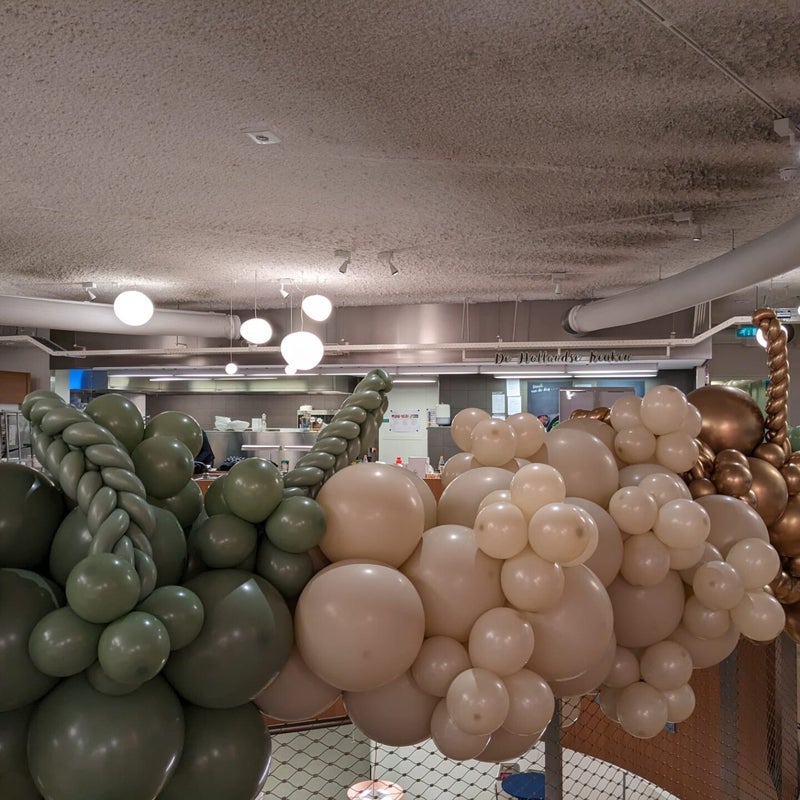 ballondecoratieballonkunstenaarfrans5.jpg