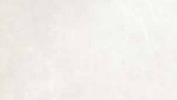 NEWCLAY White 60x120