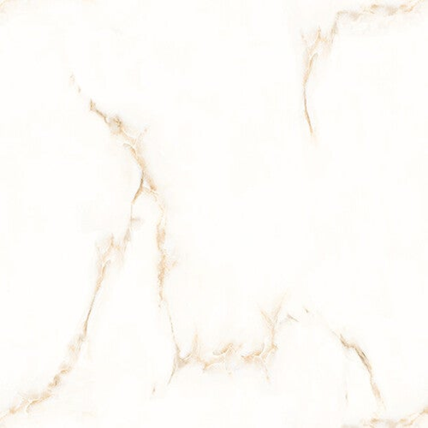 CPGC Carrara Caramel Polished 60x60