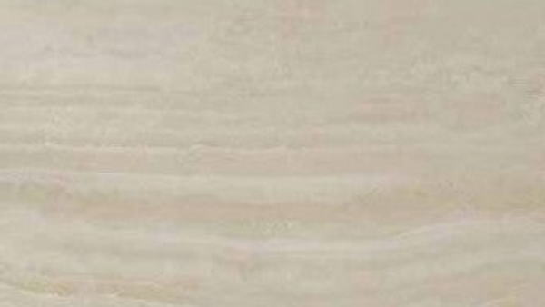 EVORA Beige Matt 59x120