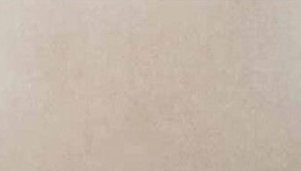 PARADISE Beige Matt 59x120