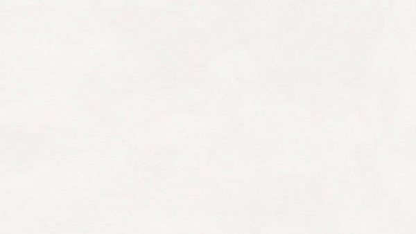 ATLAS Light Grey Matt 60x120