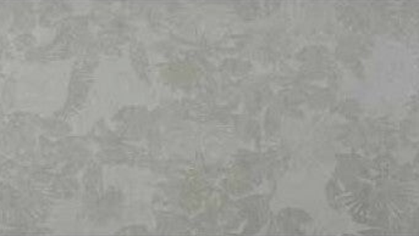 PARADISE Gris Decor Matt 59x120