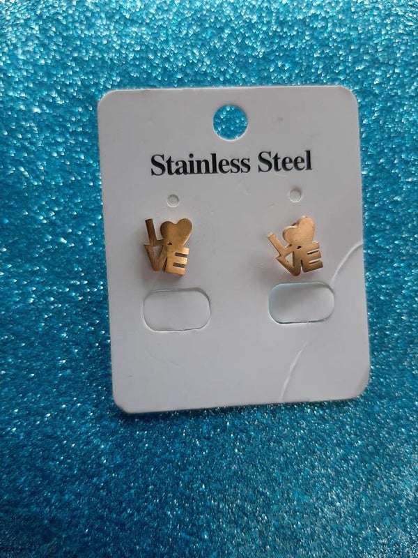 Stainless steel Earrings