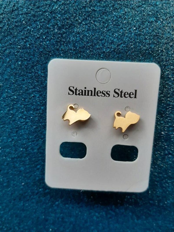 Stainless steel Earrings