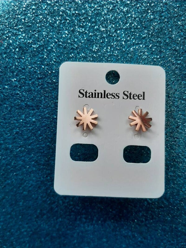 Stainless steel Earrings