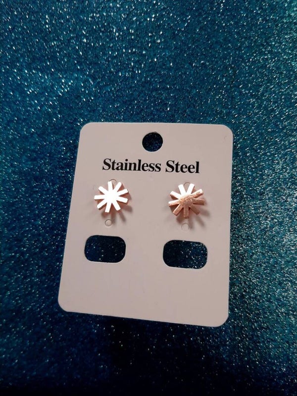 Stainless steel Earrings
