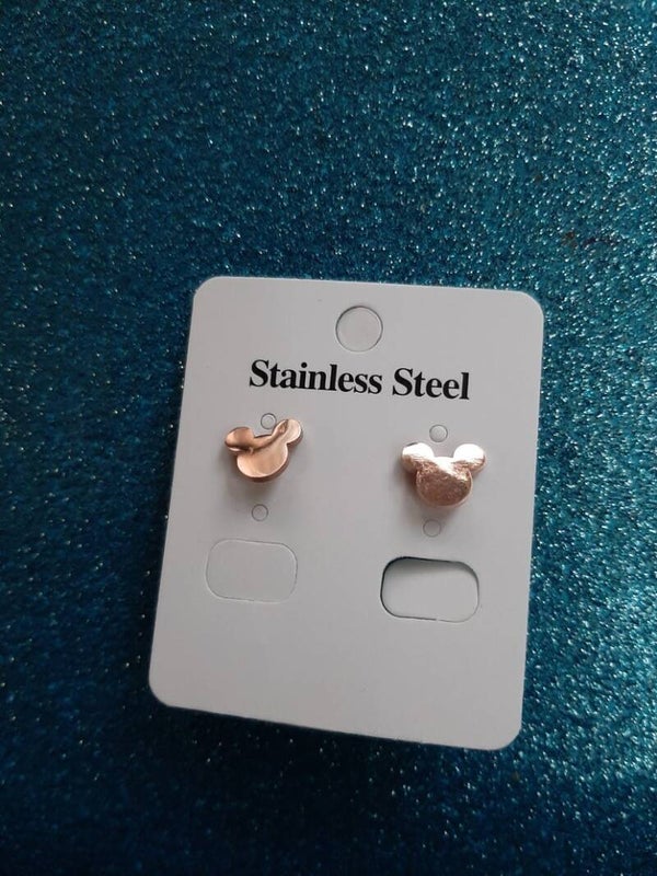 Stainless steel Earrings