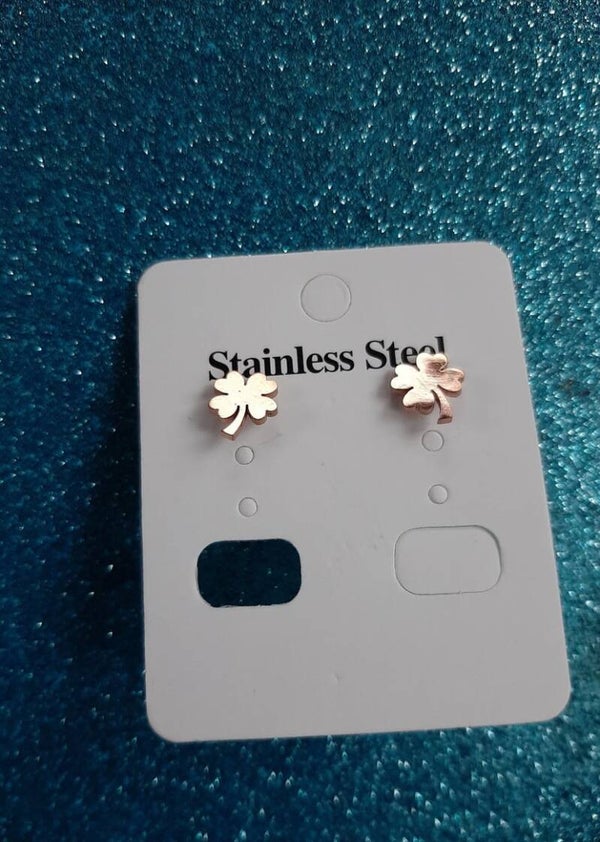 Stainless steel Earrings