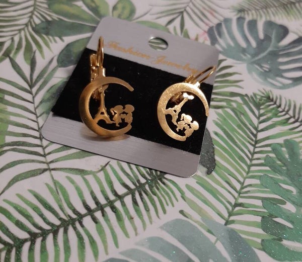 Stainless Steel Earrings