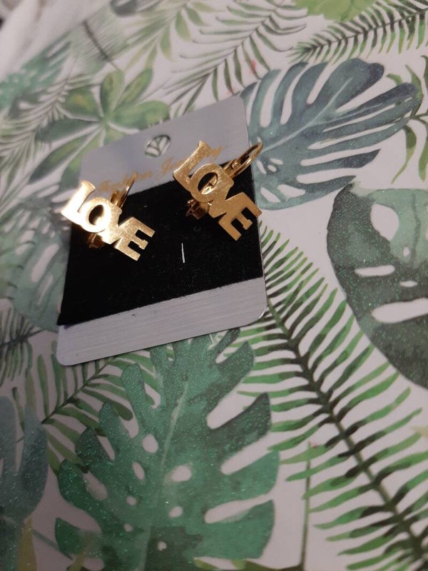 Stainless Steel Earrings