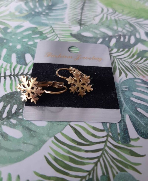 Stainless Steel Earrings