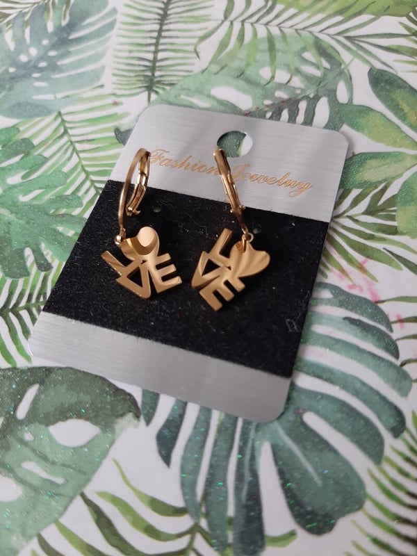 Stainless Steel Earrings
