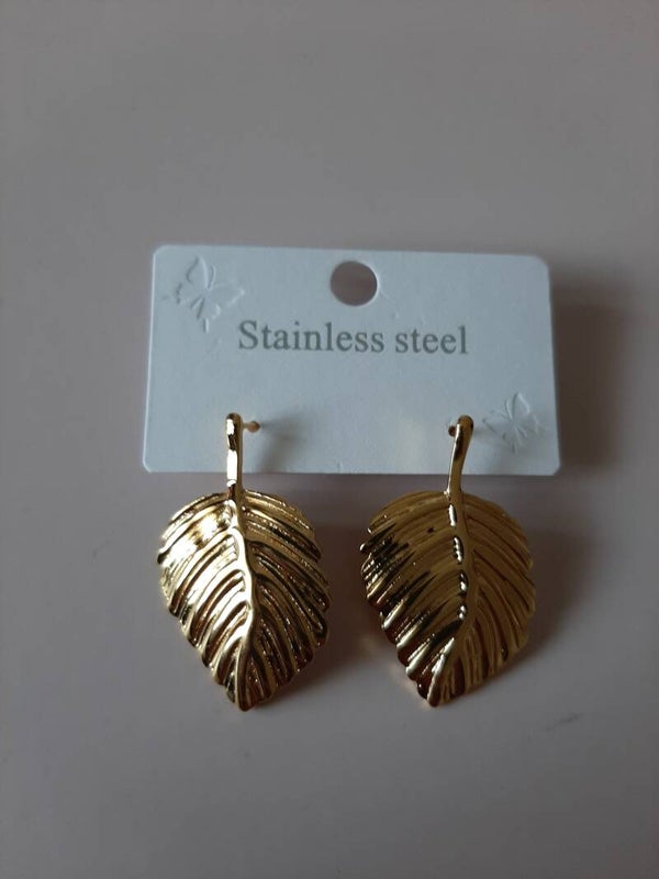 Stainless Steel Earrings