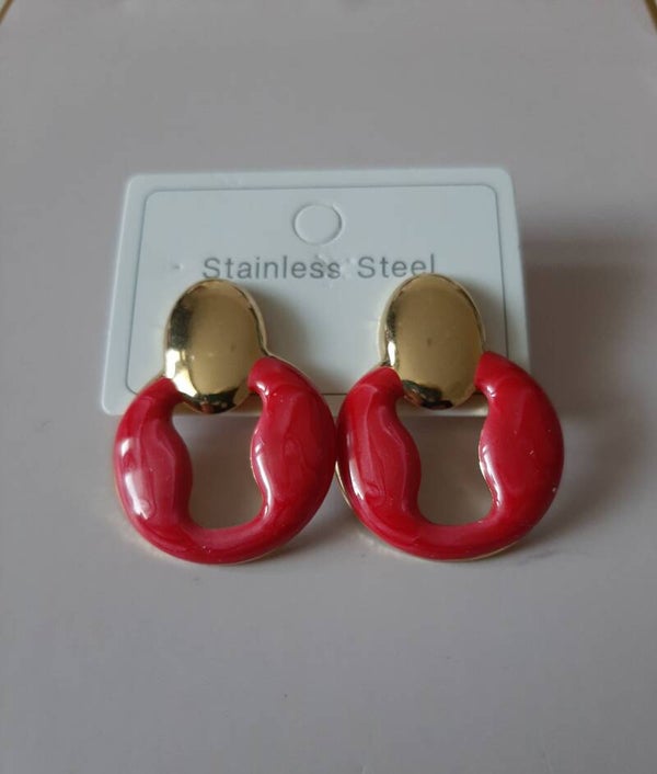 Stainless steel Earrings