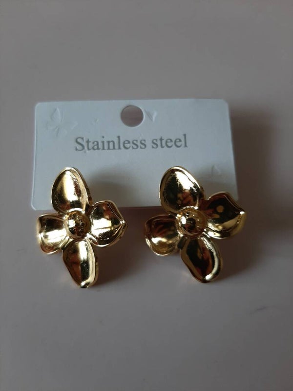 Stainless Steel Earrings