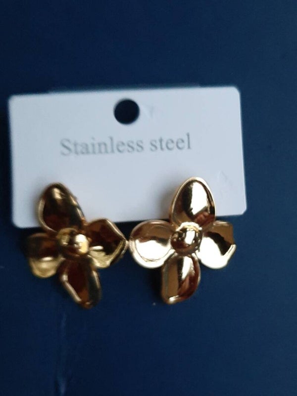 Stainless steel Earrings