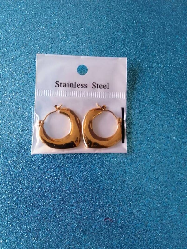Stainless steel Earrings