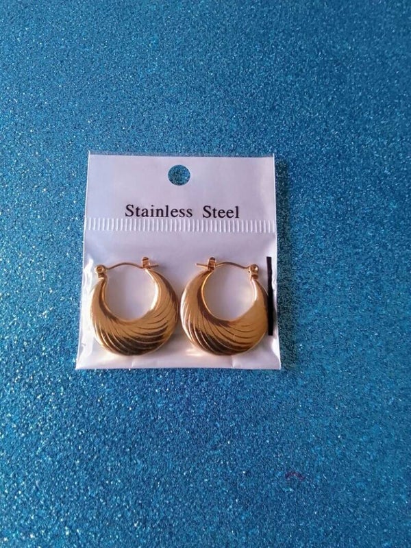 Stainless steel Earrings